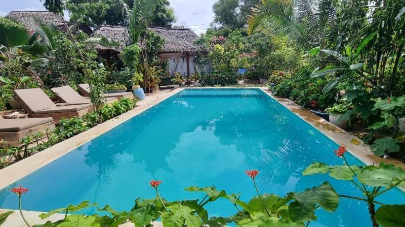 סטודיו משפחתי, Salama & Mbuyuni Bungalows