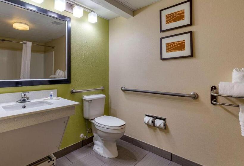 اتاق استاندارد با تخت بزرگ, Clarion Pointe Apex Holly Springs