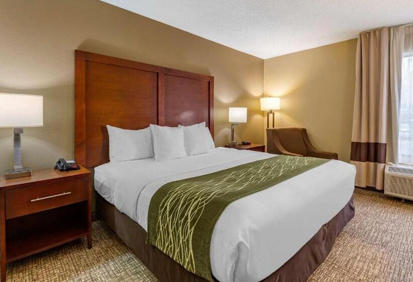 带大床的标准间, Clarion Pointe Apex Holly Springs