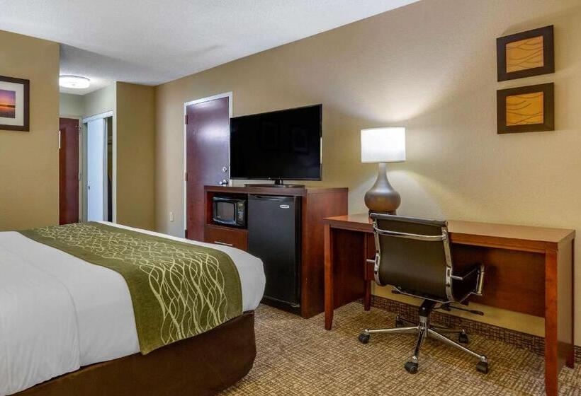 اتاق استاندارد با تخت بزرگ, Clarion Pointe Apex Holly Springs