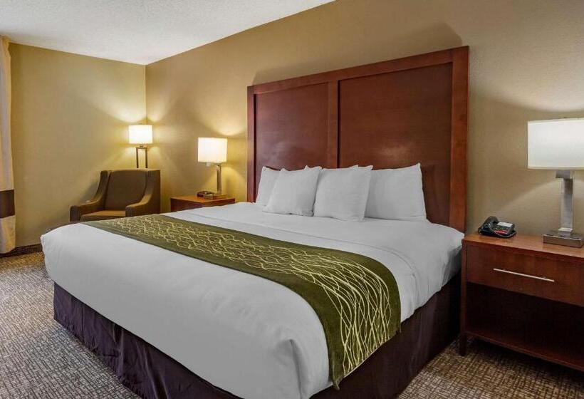 اتاق استاندارد با تخت بزرگ, Clarion Pointe Apex Holly Springs