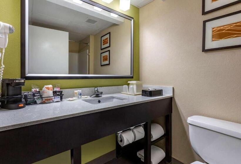 带大床的标准间, Clarion Pointe Apex Holly Springs