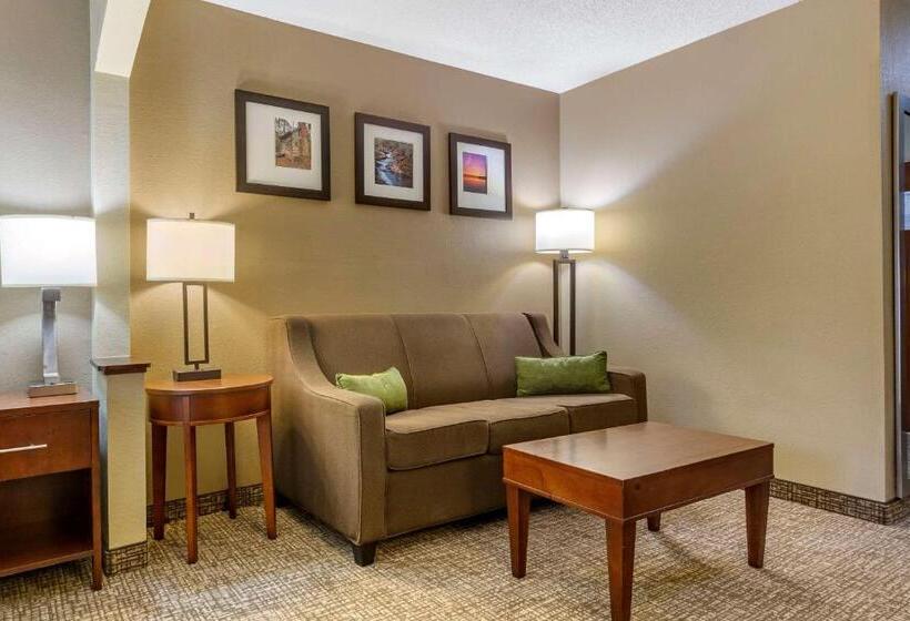 带大床的套房, Clarion Pointe Apex Holly Springs