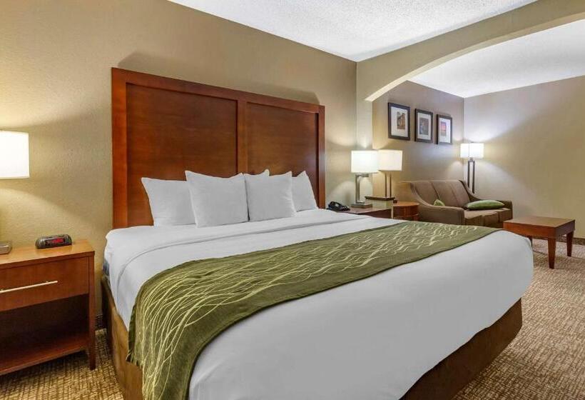 سوئیت با تخت بزرگ, Clarion Pointe Apex Holly Springs