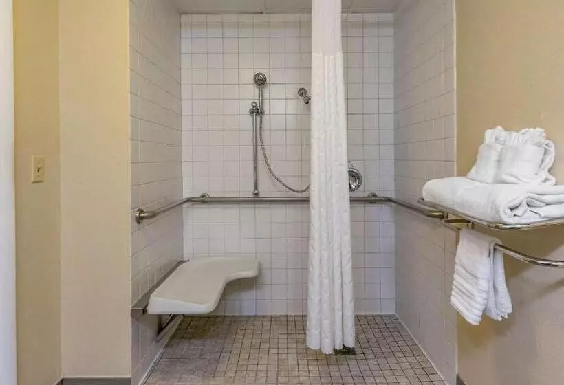 身障者適用キングサイズベッドルーム, Clarion Pointe Apex Holly Springs