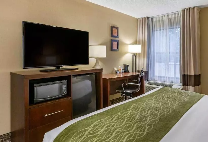 身障者適用キングサイズベッドルーム, Clarion Pointe Apex Holly Springs