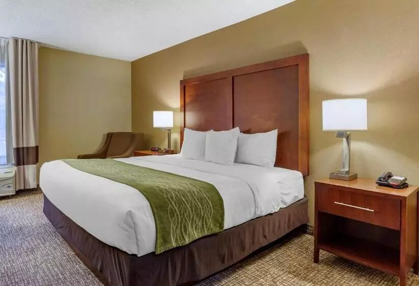 身障者適用キングサイズベッドルーム, Clarion Pointe Apex Holly Springs