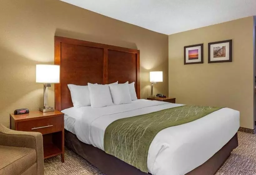 身障者適用キングサイズベッドルーム, Clarion Pointe Apex Holly Springs