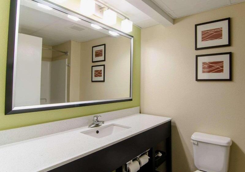 اتاق استاندارد با تخت بزرگ, Clarion Pointe Apex Holly Springs