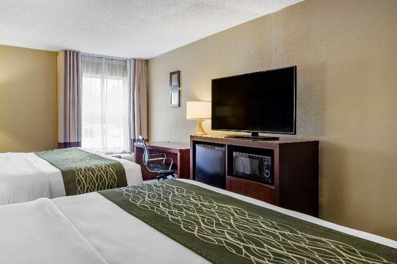 اتاق استاندارد با تخت بزرگ, Clarion Pointe Apex Holly Springs