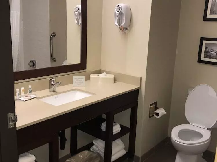 スイート, Comfort Inn Collinsville Near St. Louis