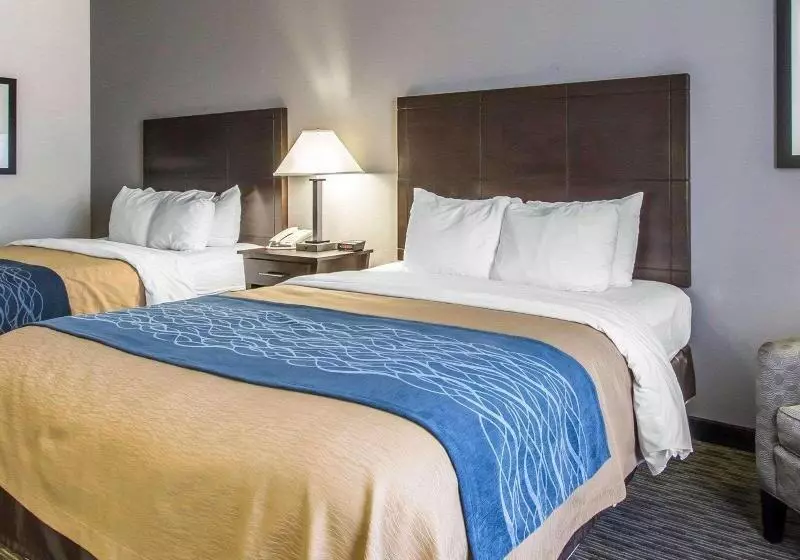 キングサイズベッドのスタンダードルーム, Comfort Inn Limon