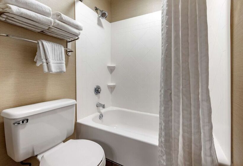 带2个双人床的标准工作室, Comfort Inn & Suites Butler