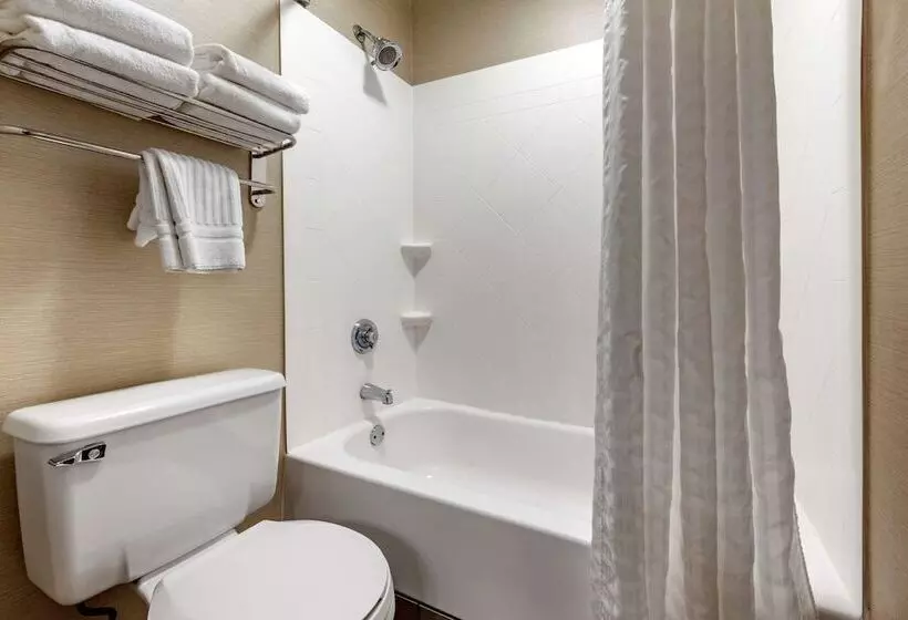 2ダブルベッドのスタンダードルーム, Comfort Inn & Suites Butler