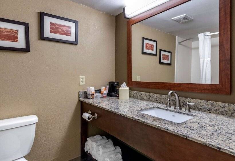 جناح سرير كينج, Comfort Inn & Suites Leeds I20