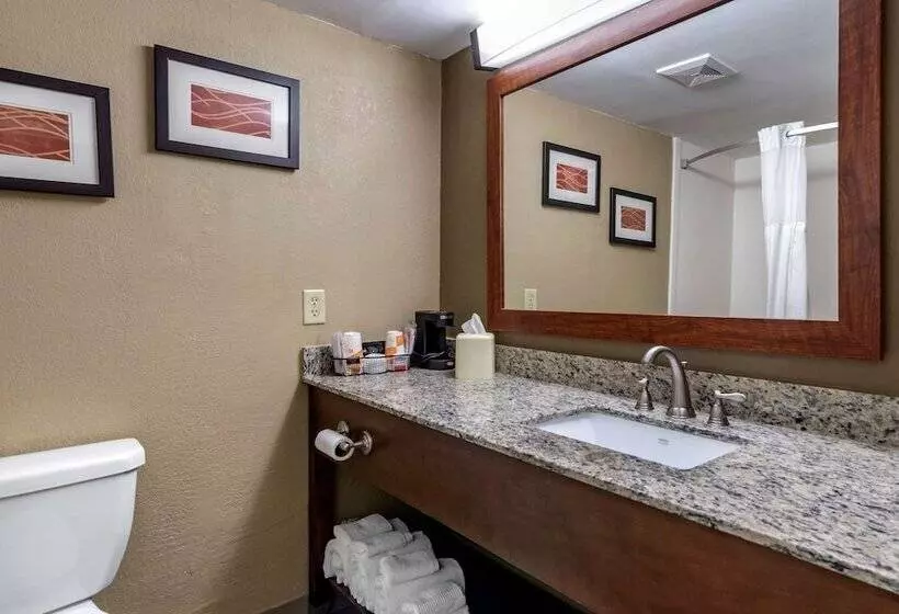 キングサイズベッドのスイートルーム, Comfort Inn & Suites Leeds I20
