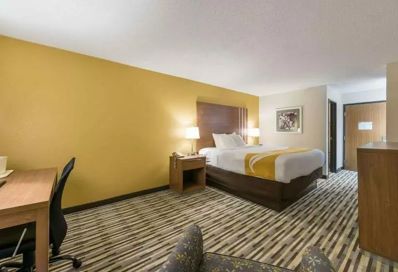 キングサイズベッドのスタンダードルーム, Quality Inn Michigan City South