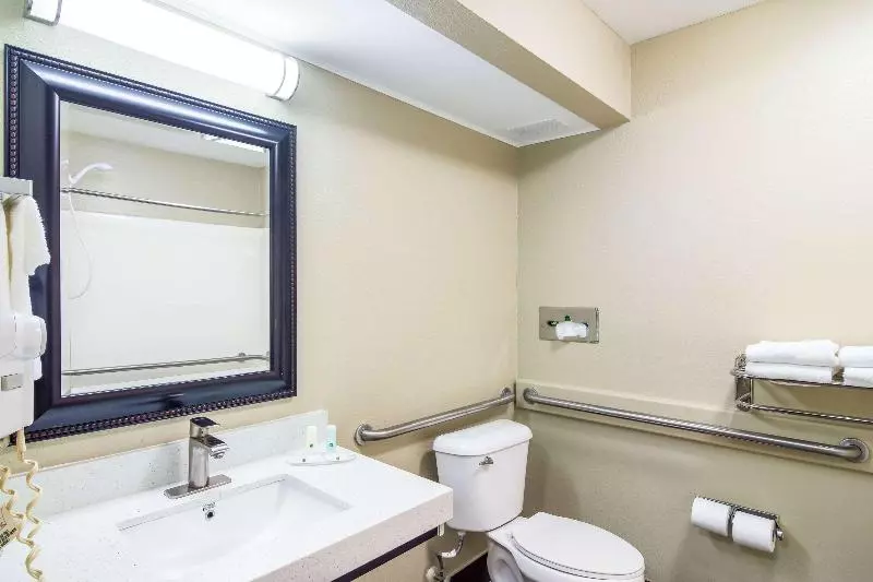 キングサイズベッドのスタンダードルーム, Quality Inn & Suites Canton, Ga