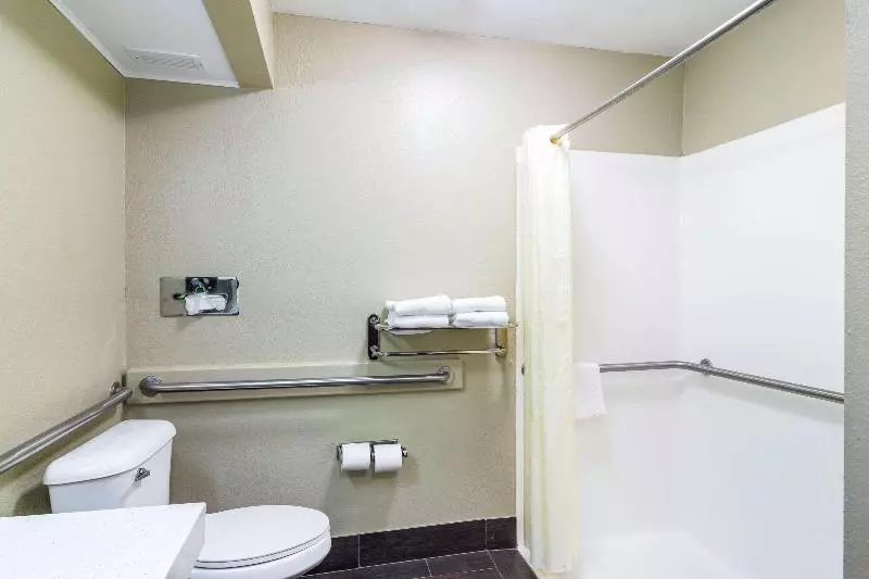 キングサイズベッドのスタンダードルーム, Quality Inn & Suites Canton, Ga