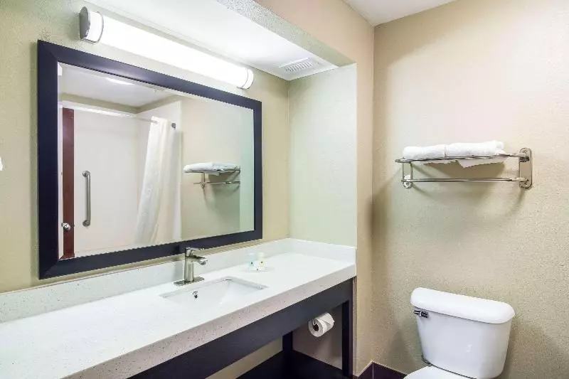 キングサイズベッドのスタンダードルーム, Quality Inn & Suites Canton, Ga