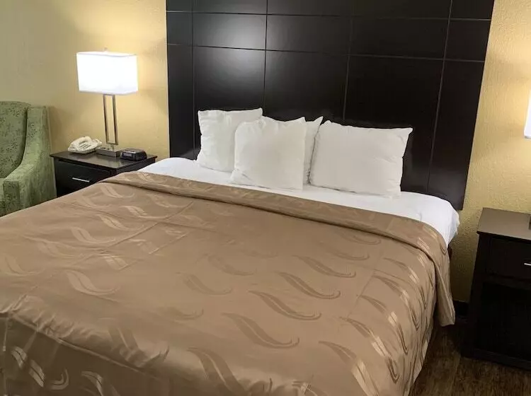 ２ダブルベッドのスタンダードルーム, Quality Inn & Suites Canton, Ga
