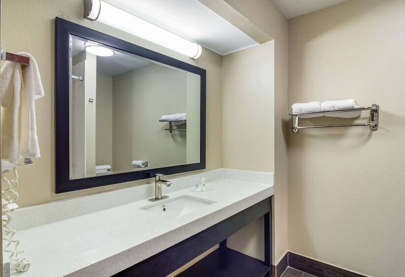 סוויטה עם ג'קוזי, Quality Inn & Suites Canton, Ga
