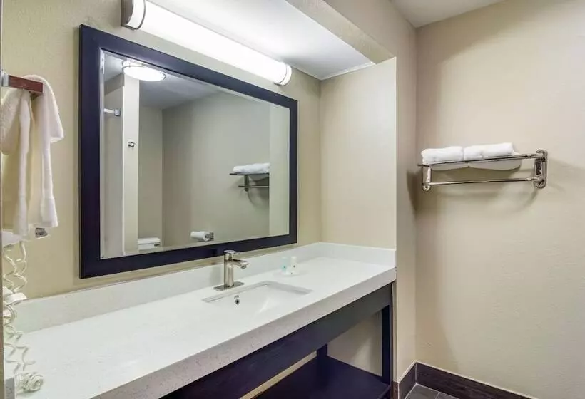 ハイドロマッサージバス付きスイート, Quality Inn & Suites Canton, Ga