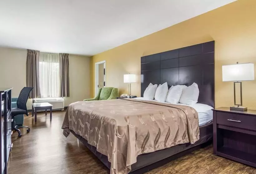 ハイドロマッサージバス付きスイート, Quality Inn & Suites Canton, Ga