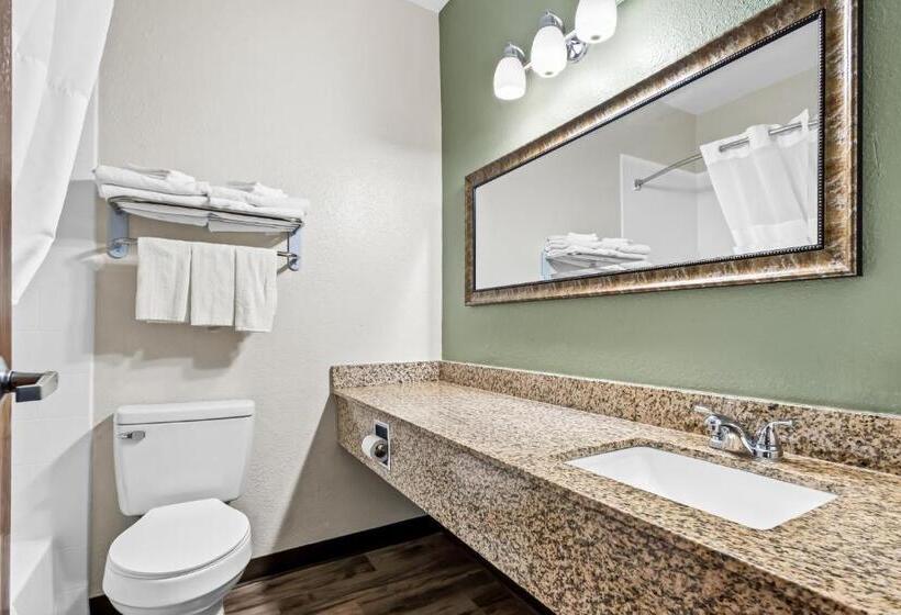 غرفة قياسية سرير كينج, Quality Inn Brookings University