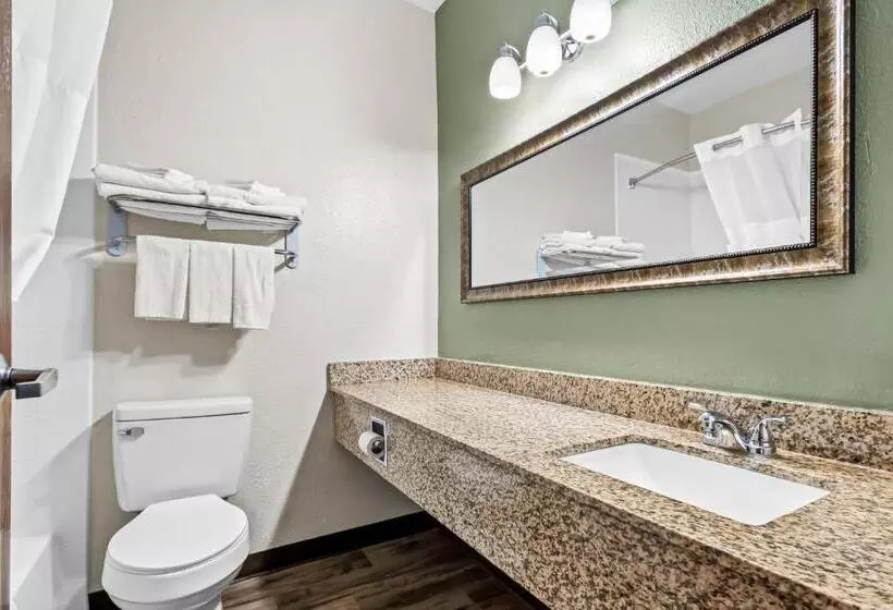 اتاق استاندارد با تخت بزرگ, Quality Inn Brookings University