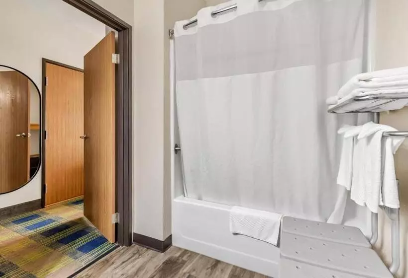 اتاق استاندارد با تخت بزرگ برای معلولان, Quality Inn Brookings University