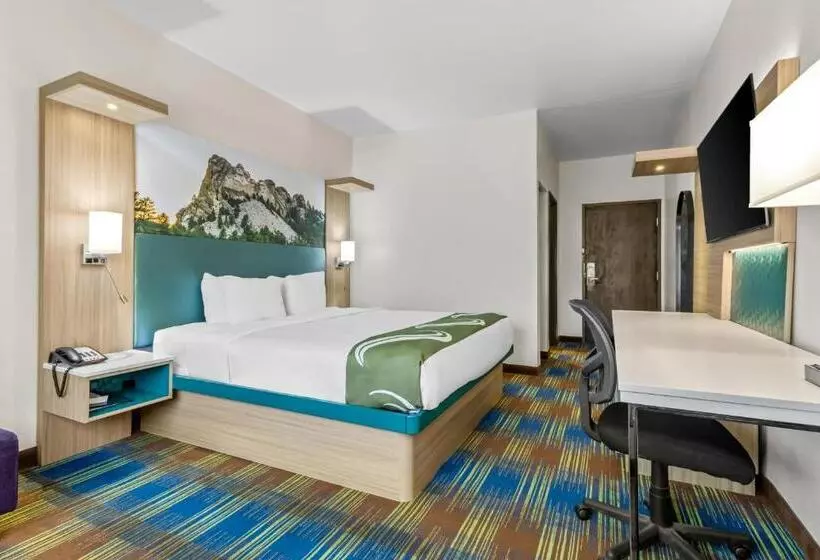 اتاق استاندارد با تخت بزرگ برای معلولان, Quality Inn Brookings University