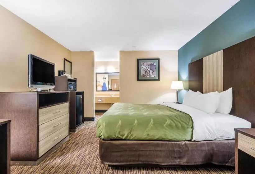 キングサイズベッドのスタンダードルーム, Quality Inn Cullman I 65 Exit 310