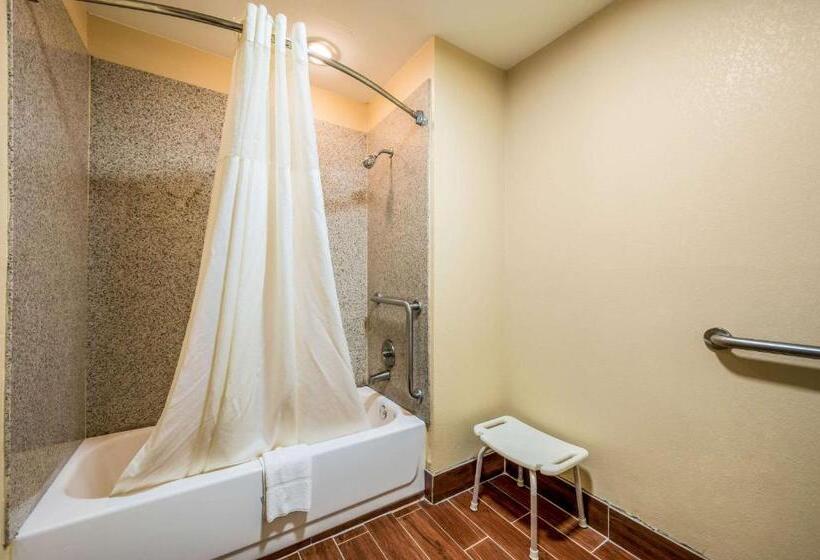 Номер Стандарт Адаптированный для Инвалидов, Quality Inn Cullman I 65 Exit 310