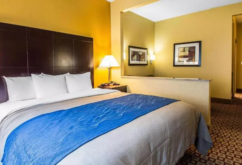 Sviitti King-vuode, Quality Inn Plant City Lakeland