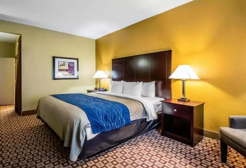 Standard-huone King-vuode, Quality Inn Plant City Lakeland