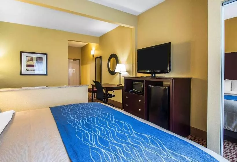 Standard-invahuone King-vuode, Quality Inn Plant City Lakeland