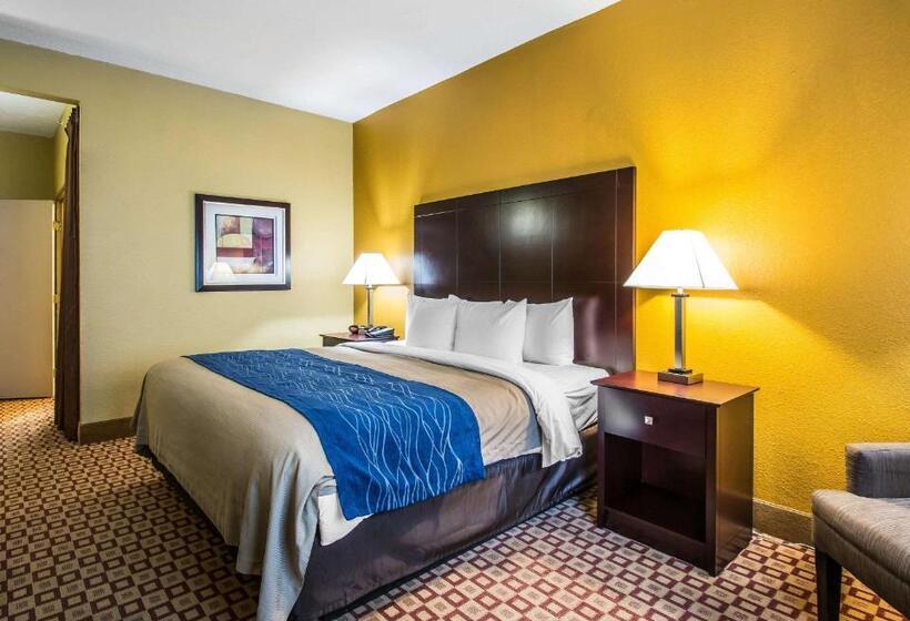 Номер Стандарт Кровать Кинг Адаптированный для Инвалидов, Quality Inn Plant City  Lakeland