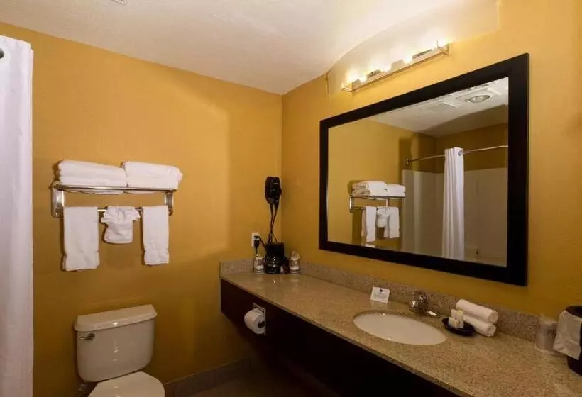 Standard-invahuone King-vuode, Quality Inn Plant City Lakeland