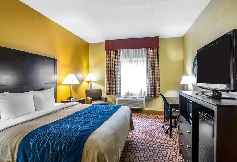 Standard-invahuone King-vuode, Quality Inn Plant City Lakeland