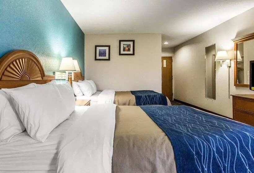 ２ダブルベッドのスタンダードルーム, Quality Inn & Suites