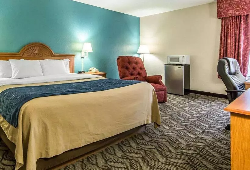 キングサイズベッドのスタンダードルーム, Quality Inn & Suites