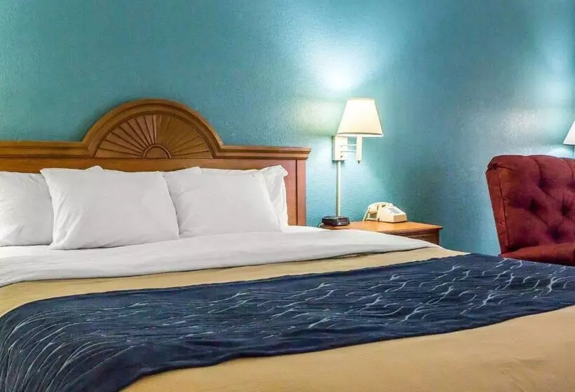 キングサイズベッドのスタンダードルーム, Quality Inn & Suites