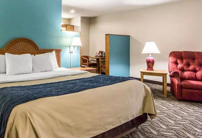 キングサイズベッドのスタンダードルーム, Quality Inn & Suites