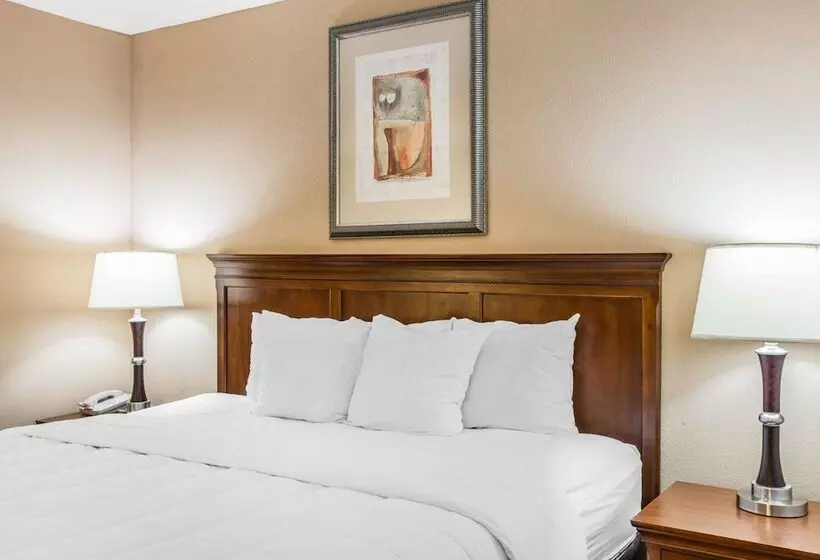 スタンダードルーム, Quality Inn & Suites