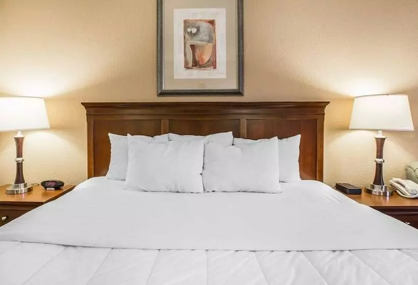 スタンダードルーム, Quality Inn & Suites