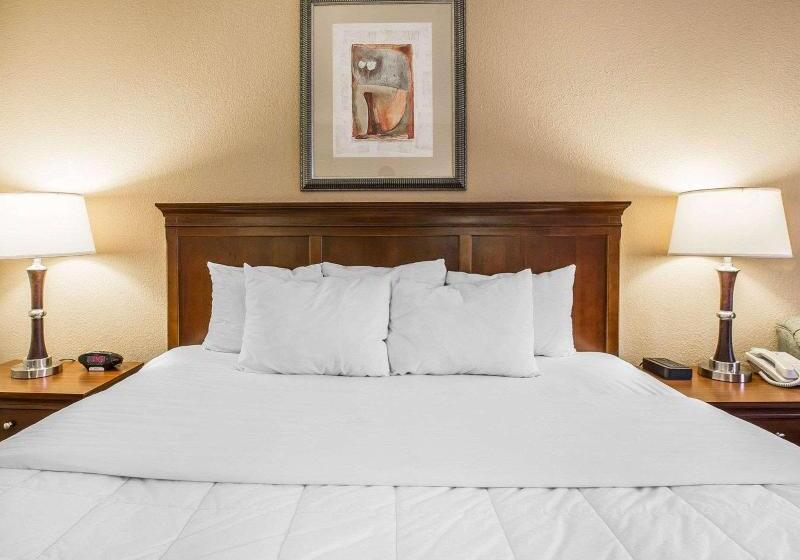 스탠다드 룸 킹사이즈 침대, Quality Inn & Suites