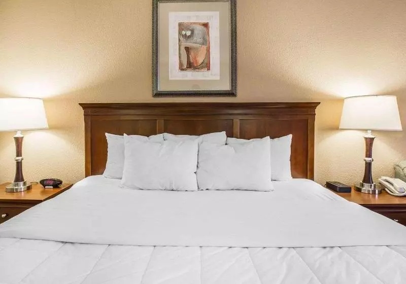 キングサイズベッドのスタンダードルーム, Quality Inn & Suites