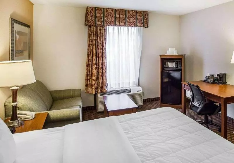キングサイズベッドのスタンダードルーム, Quality Inn & Suites