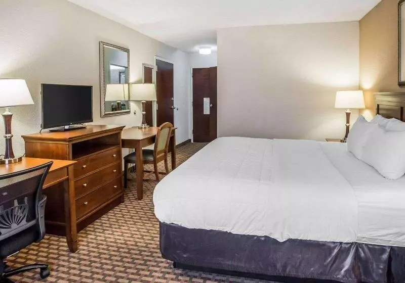キングサイズベッドのスタンダードルーム, Quality Inn & Suites